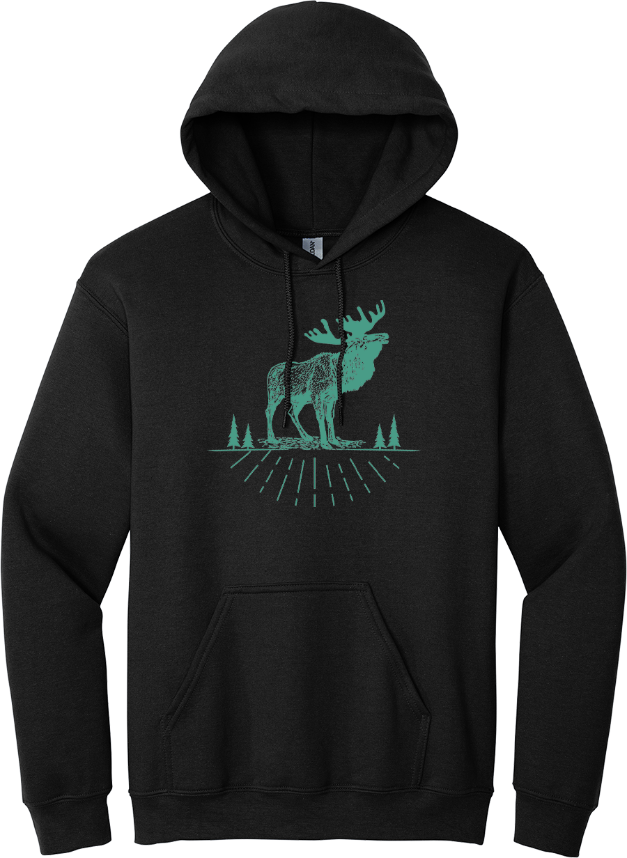 Hoodie Original AOSKWAY