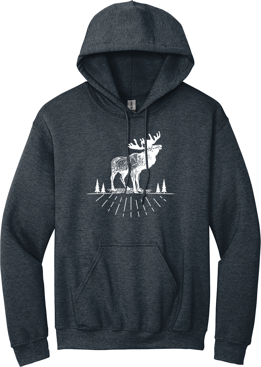 Hoodie Original AOSKWAY