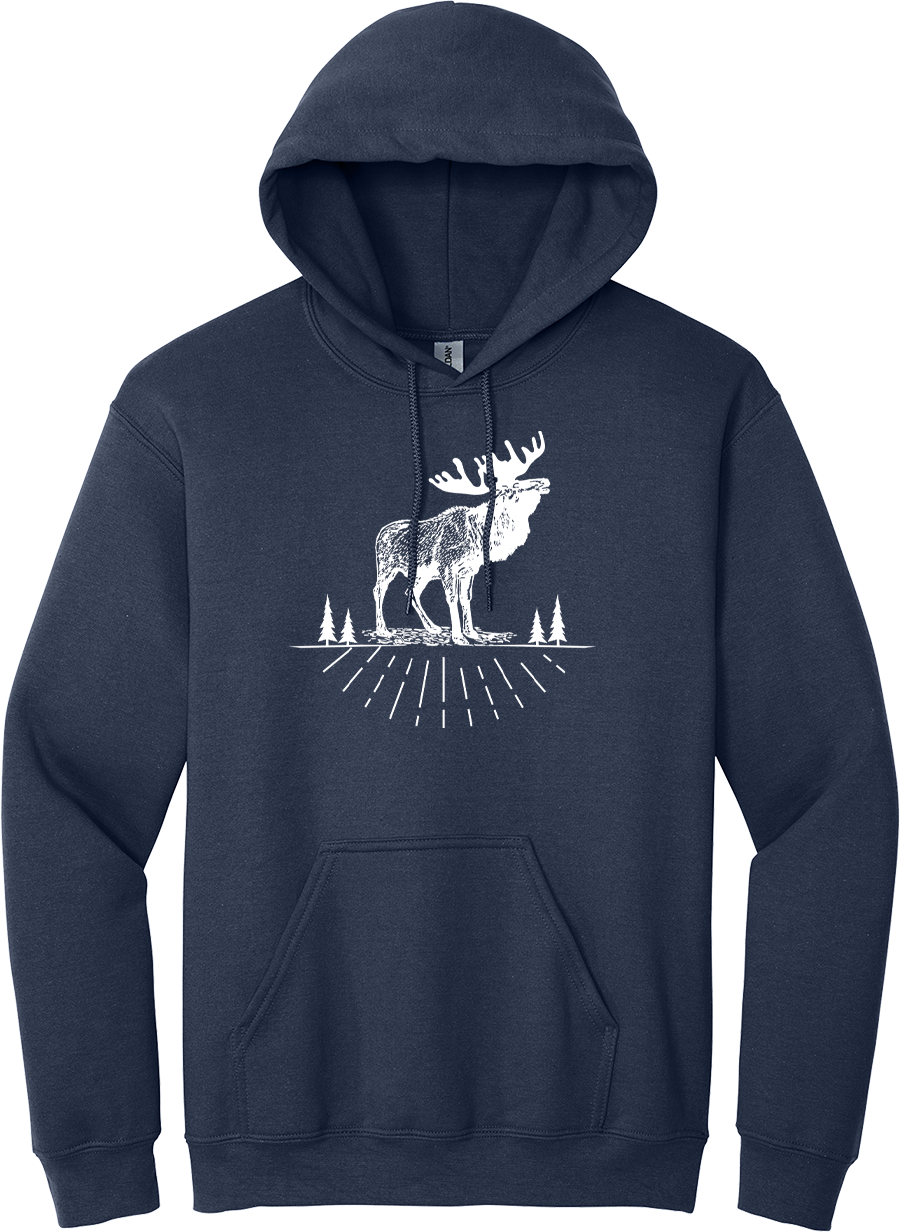 Hoodie Original AOSKWAY