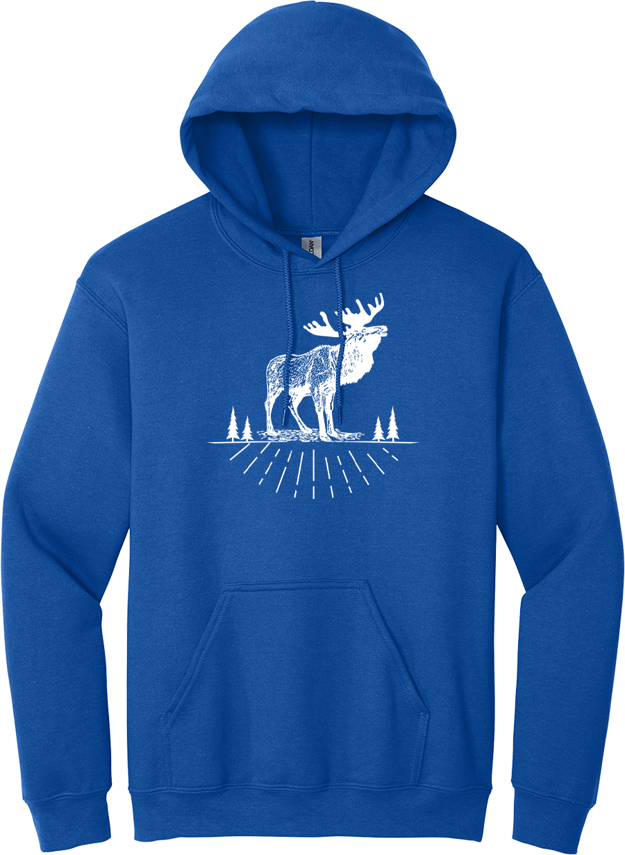 Hoodie Original AOSKWAY