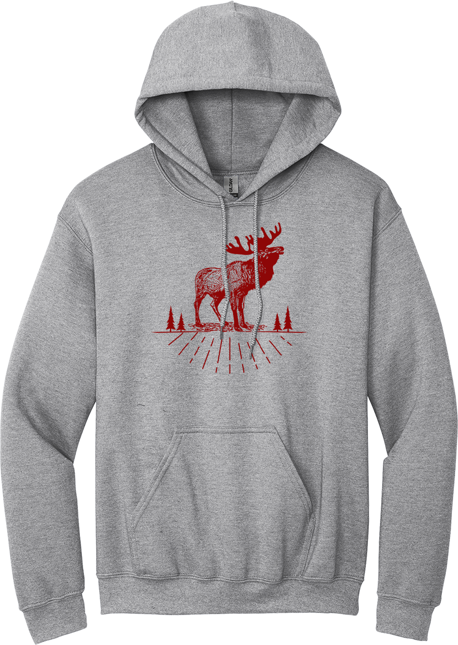 Hoodie Original AOSKWAY