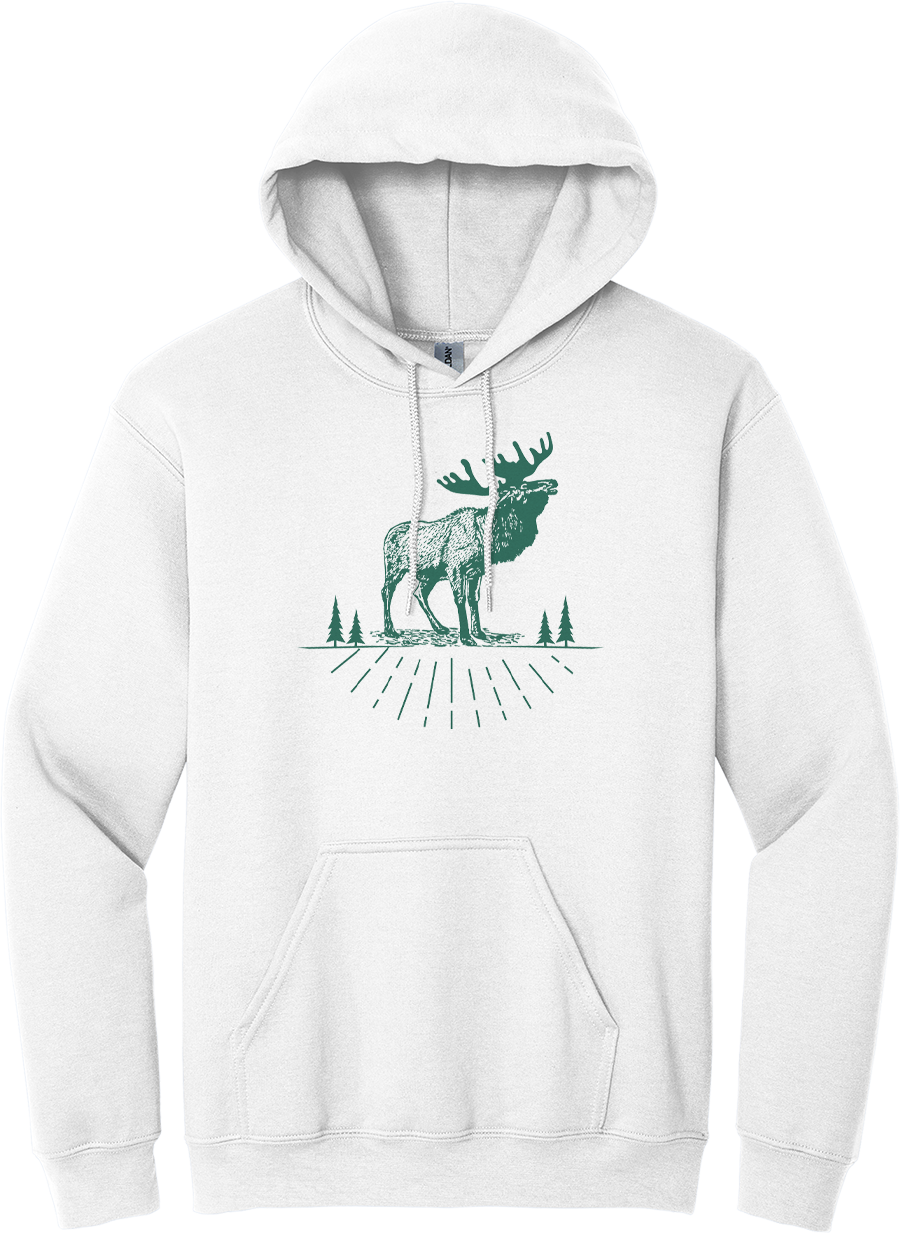 Hoodie Original AOSKWAY