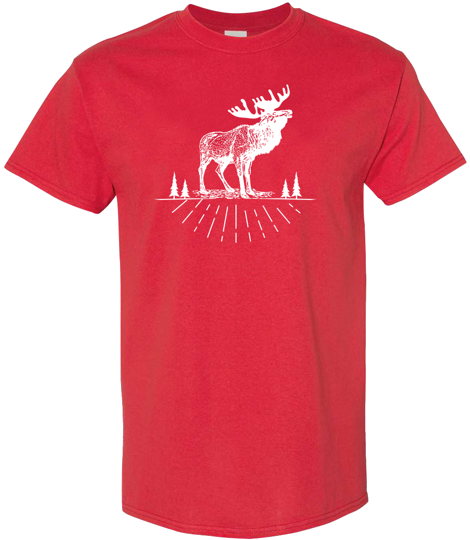 T-Shirt AOSKWAY