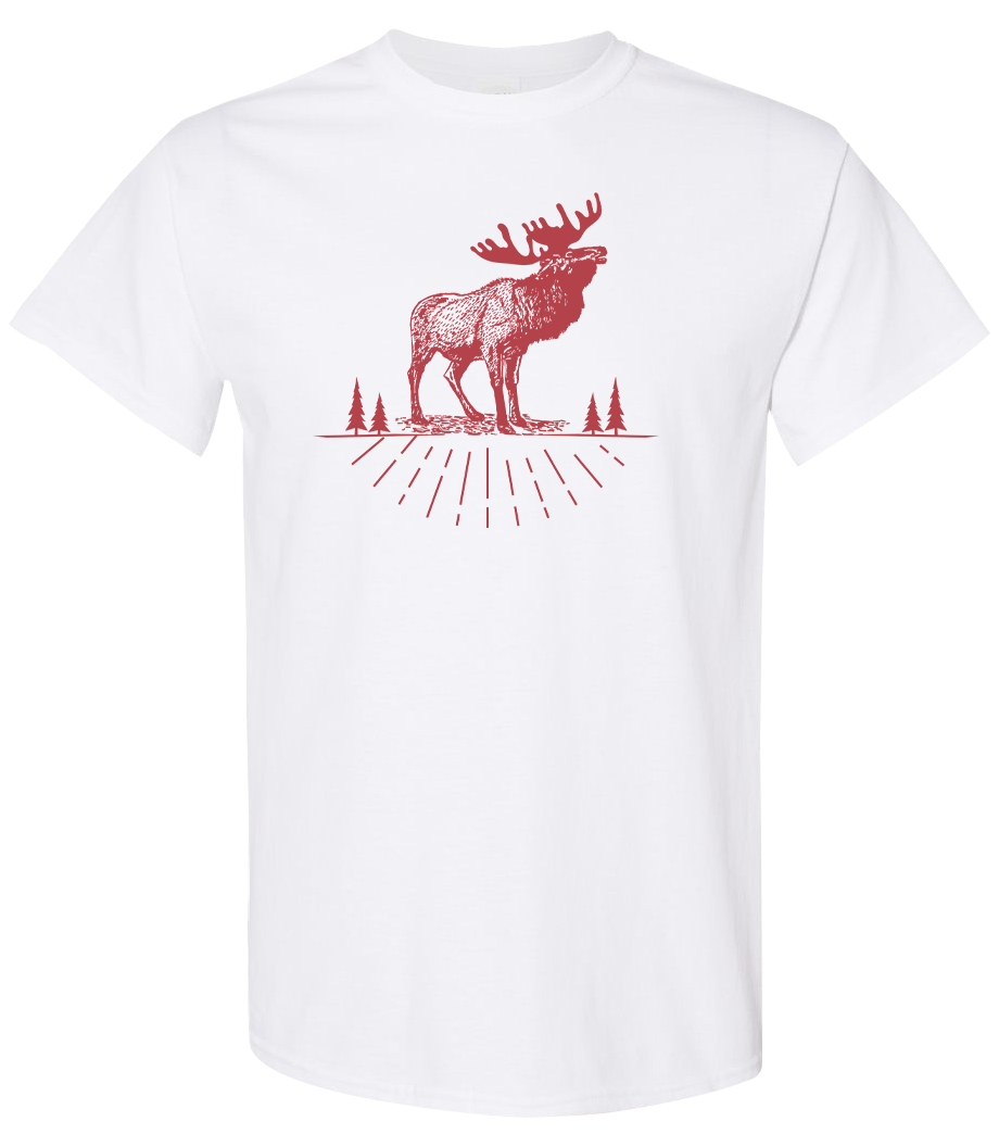 T-Shirt AOSKWAY
